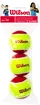 Tennisballen voor kinderen Wilson  Starter Red (3 Pack)