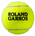 Tennisballen Wilson  Roland Garros All Court (4 Pack)