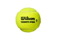 Tennisballen Wilson  Triniti Pro (4 St.)