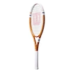 Tennisracket Wilson  Roland Garros Team 102