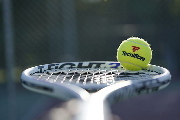 Tecnifibre tennisballen