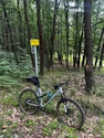 Zadeltas Apidura  Expedition saddle pack 17l